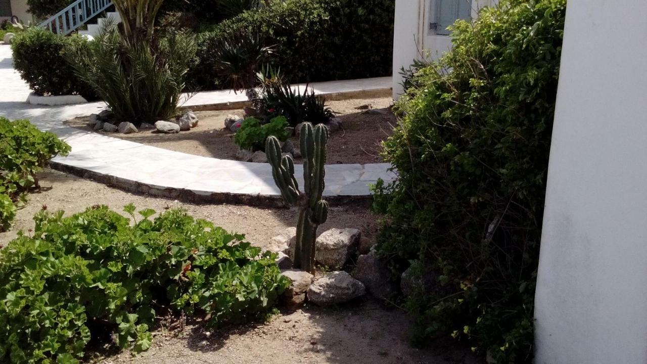 Mykonian Aroma House Appartement Ornos (Mykonos)